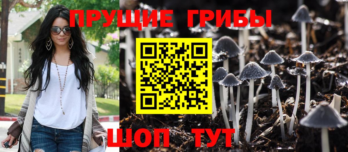 Надым  Псилоцибиновые грибы прущие грибы  Вход с VPN  Псилоцибиновые грибы ЛСД 